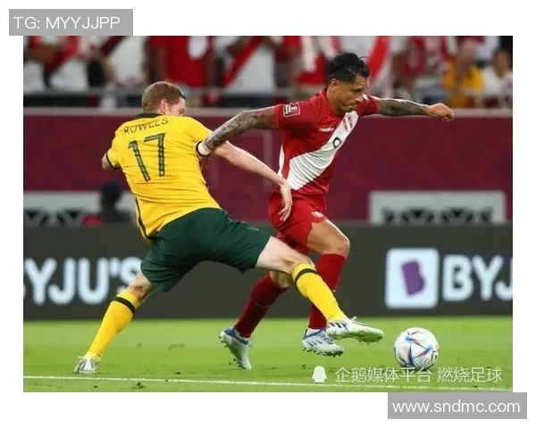 世界杯精彩对决法国队迎战澳大利亚队全场精彩瞬间回顾与分析